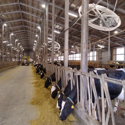 topcoolのパネルファン_01