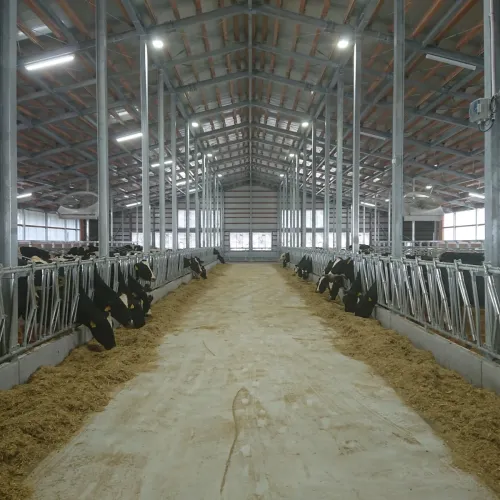 サイクロンファンの施工例 酪農 愛媛県 小野田牧場様