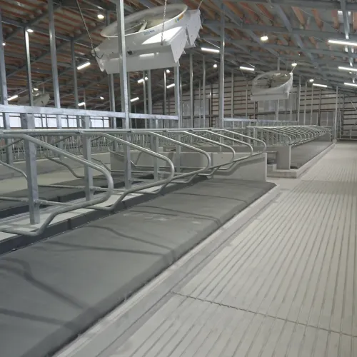 サイクロンファンの施工例 酪農 愛媛県 小野田牧場様