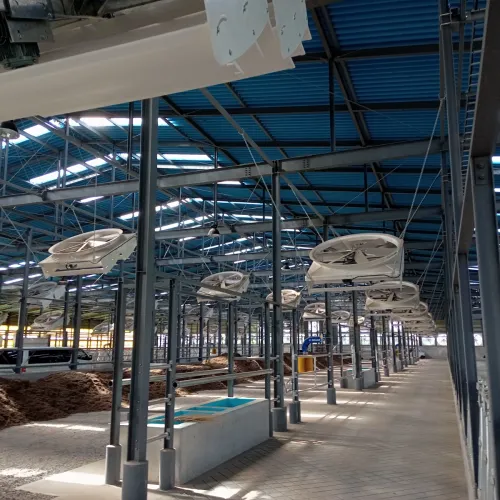 サイクロンファンの施工例 酪農 群馬県 アラトデイリー様