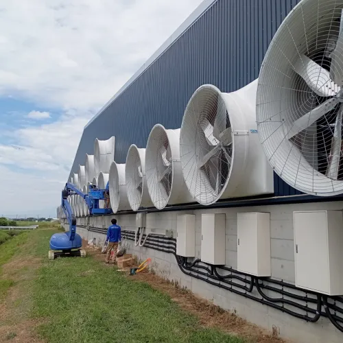 排気ファンの施工例 酪農 群馬県 アラトデイリー様