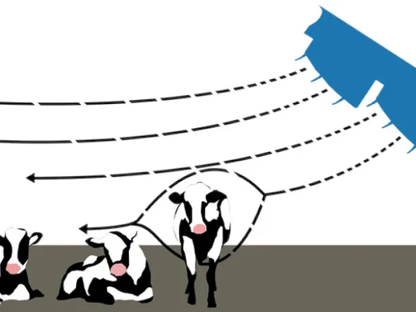 サイクロンファン