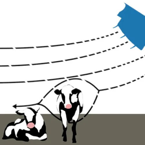 サイクロンファン 2