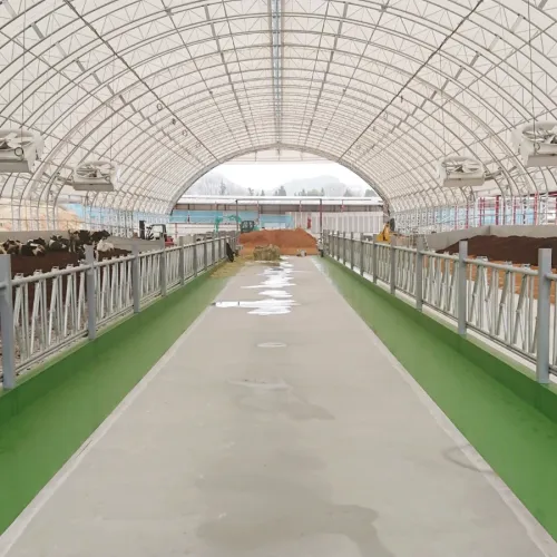 サイクロンファンの施工例 酪農 香川県 大一牧場様