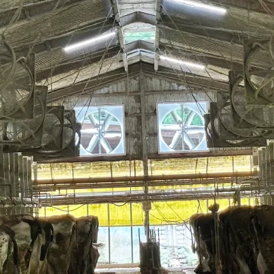 繋ぎ牛舎に追加された排気ファンを牛舎内部から見た様子
