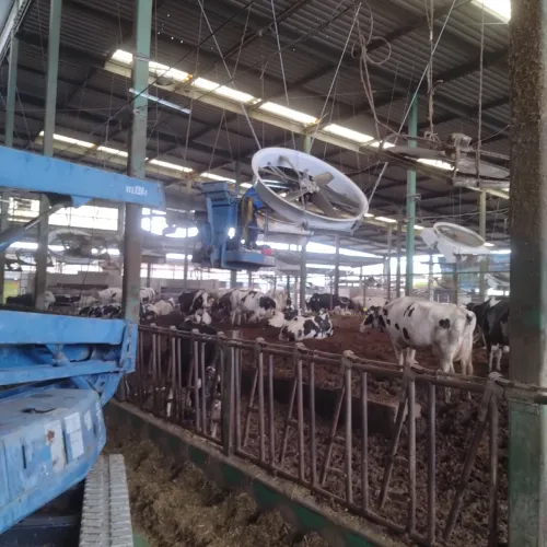 パネルファン 6