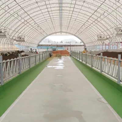 香川県の酪農場・大一牧場のハウス牛舎とサイクロンファン設置例